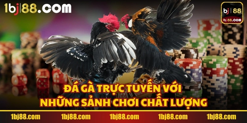 Đá gà trực tuyến với những sảnh chơi chất lượng